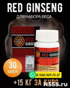 Ред гинсенг капсулы для набора веса | Red Ginseng для набора